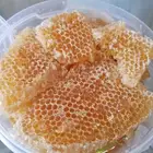عسل السدر الجبلي البلدي المضمون