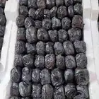 تمور ورطب