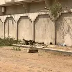 تقطيع الأشجار