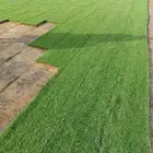 لجميع انواع الثيل النجيلة