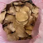 بذور جاك رندا