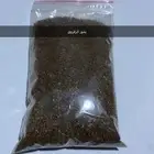 بذور اشجار ونبتات