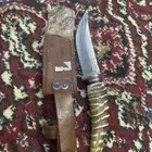 قرن غزال
