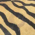 فرشة
