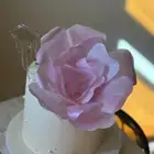 كيك تشيز كيك