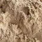 متوفر لدينا ذرة احمر وابيض ودخن وحنطه بلدي من مزارعنا