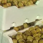 تامين تمر للمناسبات