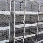 محاكر طيور