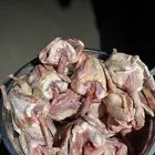 زغاليل للبيع