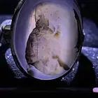 خواتم رجاليه