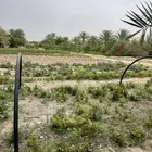 للايجار ارض مساحتها 30 الف متر على طريق الدمام الجبيل صفوى