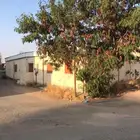 بيت شعبي للبيع الفيصلية الحوية