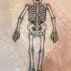 ازياء تنكرية هلوين رعب هيكل عظمي جمجمة