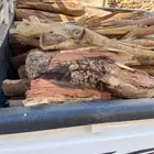 حطب سمر للبيع