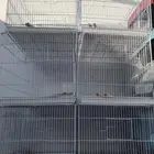 قفص 601