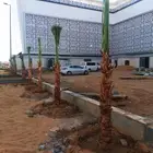 تنسيق حدائق تبوك