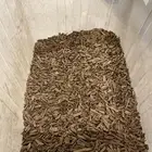 دقة مروكي طبيعي