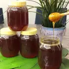 عسل السدر والطلح