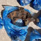 مقصات جمس او تاهو
