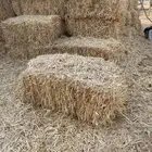 علف تبن