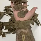 مروكي حي