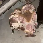 دبل سكس خياره شرط