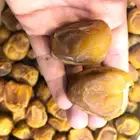 رطب القصيم رطب سكري مفتل خلاص