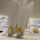 توزيعات مواليد