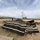 بيت شعر الماني نظيف للبيع
