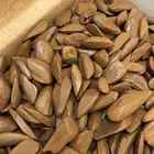 بخور مروكي ضمان ذهبي