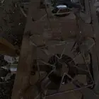 للبيع قز عينين