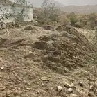 سماد حلال