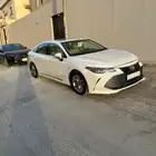 افيلون 2019