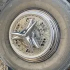 طيس دنه شبك كابرس