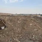 سماد عضوي ( اغنام )