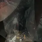 مثبت سرعه