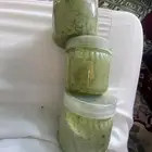 سدر