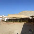 شبوك اغنام جاهزه للإيجار اشهري طريق عسفان