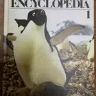 للبيع كتب لغة إنجليزية قيمة جدا  وبعضها مقررات جامعية فأعلى