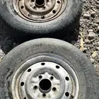 جنوط