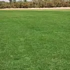 ثيل طبيعي سي الفين c2000