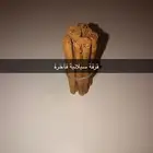 قرفة سيلانية فاخرة