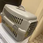 قفص قطط