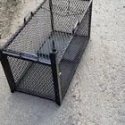 مصيدة ار قفص