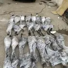 علبة دركسيون فورد تورس و فيوجن و اكسبلورر