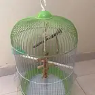 للبيع قفص طيور الزينه