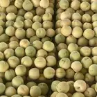 خوخ بني سعد