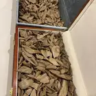 مني و مباخر مروكي