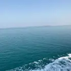 قارب نزهة وصيد وسباحه في الرايس