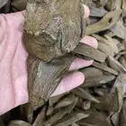مروكي محسن فاخر